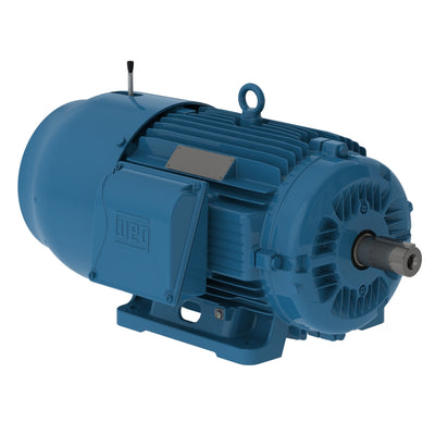WEG 01518ET3E254T-W22