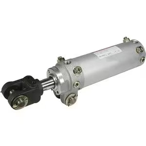 CKP1A50100Y