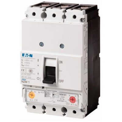 NZMN1-M63