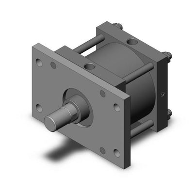 CS1FN250-100