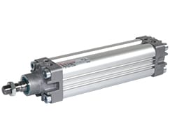 PRA/182040/M/267