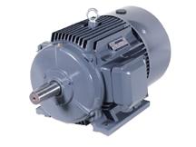 1LG6-223-4AA60-Z