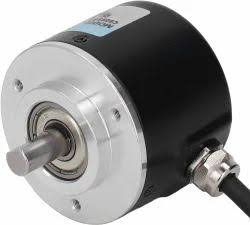 EWN:5194004231000