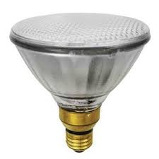 CMH100PAR38SP/EC0