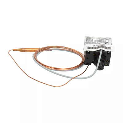 Jumo 602031/81