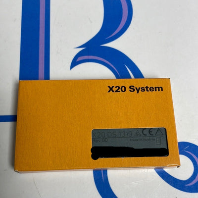 B&R X20DS1319
